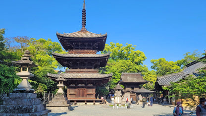 Matsuyama Private Shore Excursion: Castle & Temple Highlights