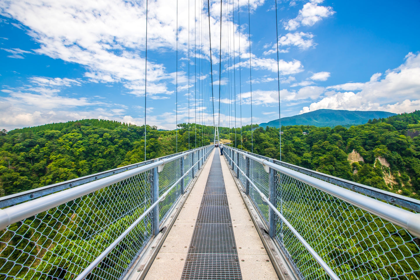 Beppu Oita Private Shore Excursion: Nature, Hot Springs & Scenic Views