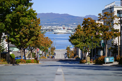 Hakodate Private Shore Excursion: Historic Streets, Scenic Views & Local Flavors