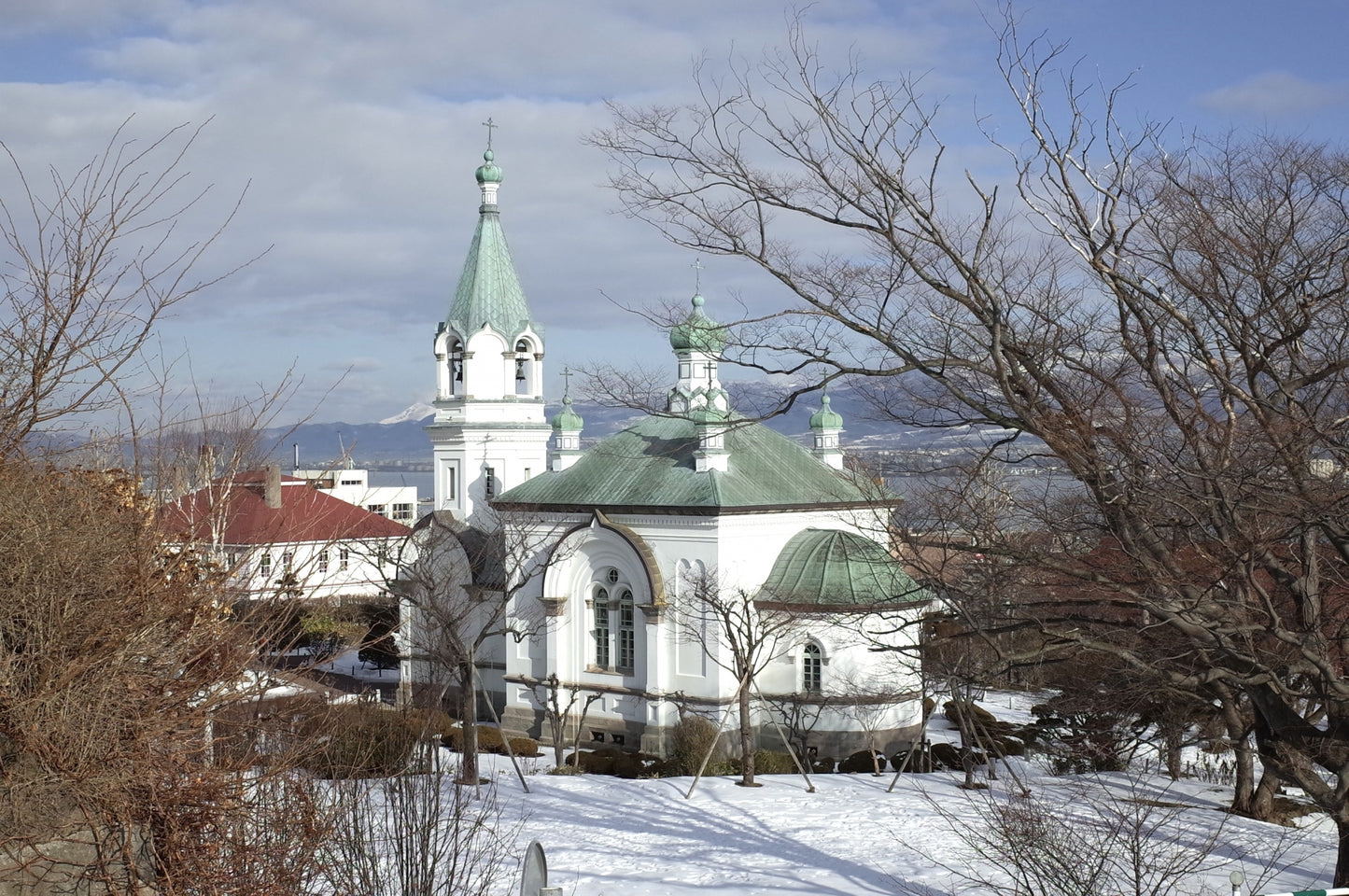 Hakodate Private Shore Excursion: Historic Streets, Scenic Views & Local Flavors