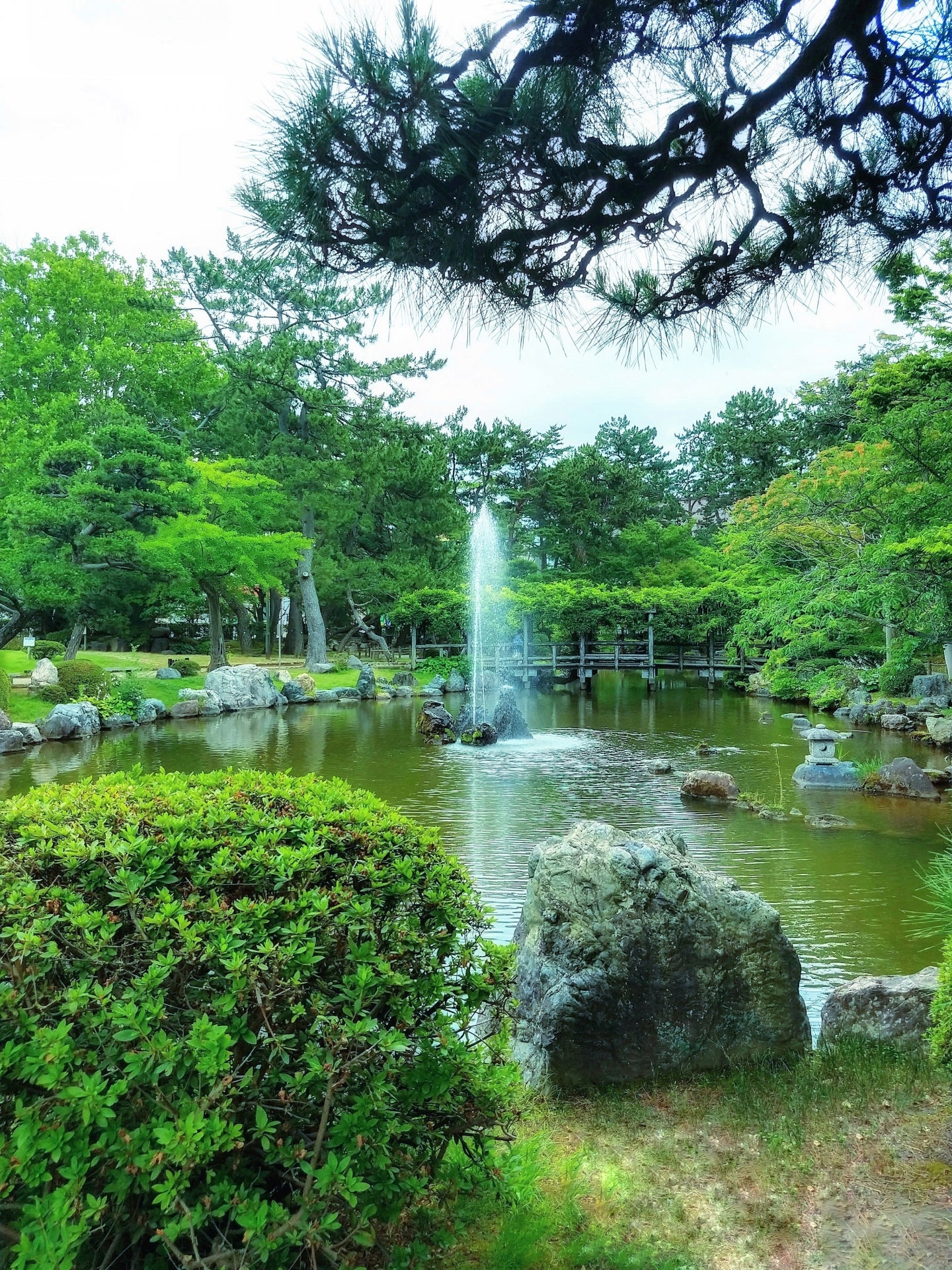 Niigata Private Shore Excursion:Historic Landmarks, Sake Brewery & Local Market