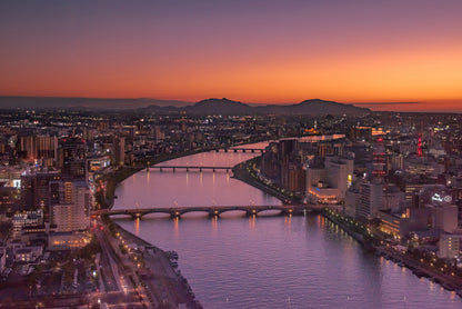 Niigata Private Shore Excursion:Historic Landmarks, Sake Brewery & Local Market