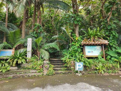 Ishigaki Private Shore Excursion: Tropical Landscapes & Scenic Highlights