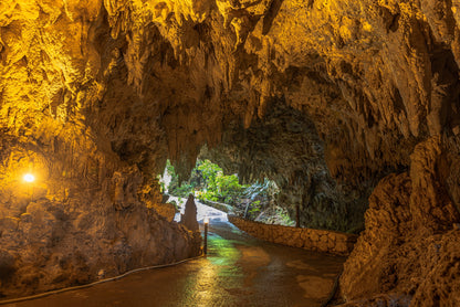 Ishigaki Private Shore Excursion: Tropical Landscapes & Scenic Highlights