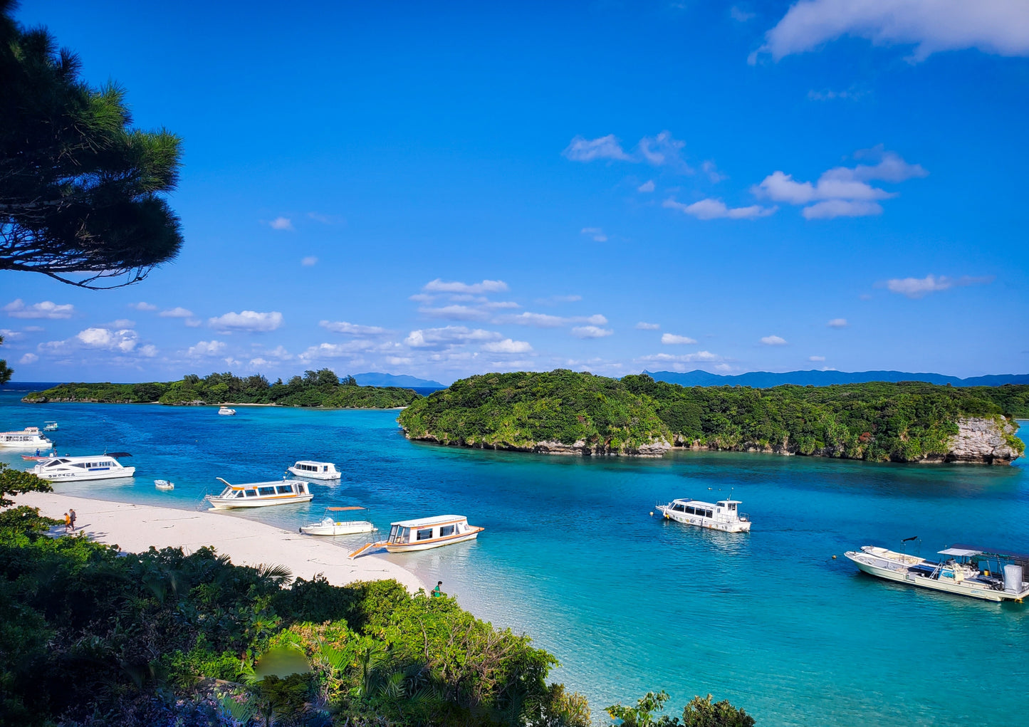 Ishigaki Private Shore Excursion: Tropical Landscapes & Scenic Highlights