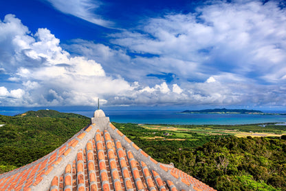 Ishigaki Private Shore Excursion: Tropical Landscapes & Scenic Highlights