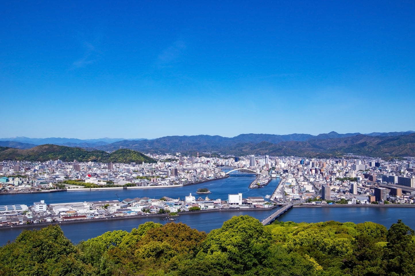 Kochi Private Shore Excursion: Coastal Scenery, Historic Castle & Local Market