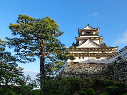 Kochi Private Shore Excursion: Coastal Scenery, Historic Castle & Local Market