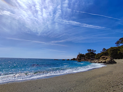 Kochi Private Shore Excursion: Coastal Scenery, Historic Castle & Local Market