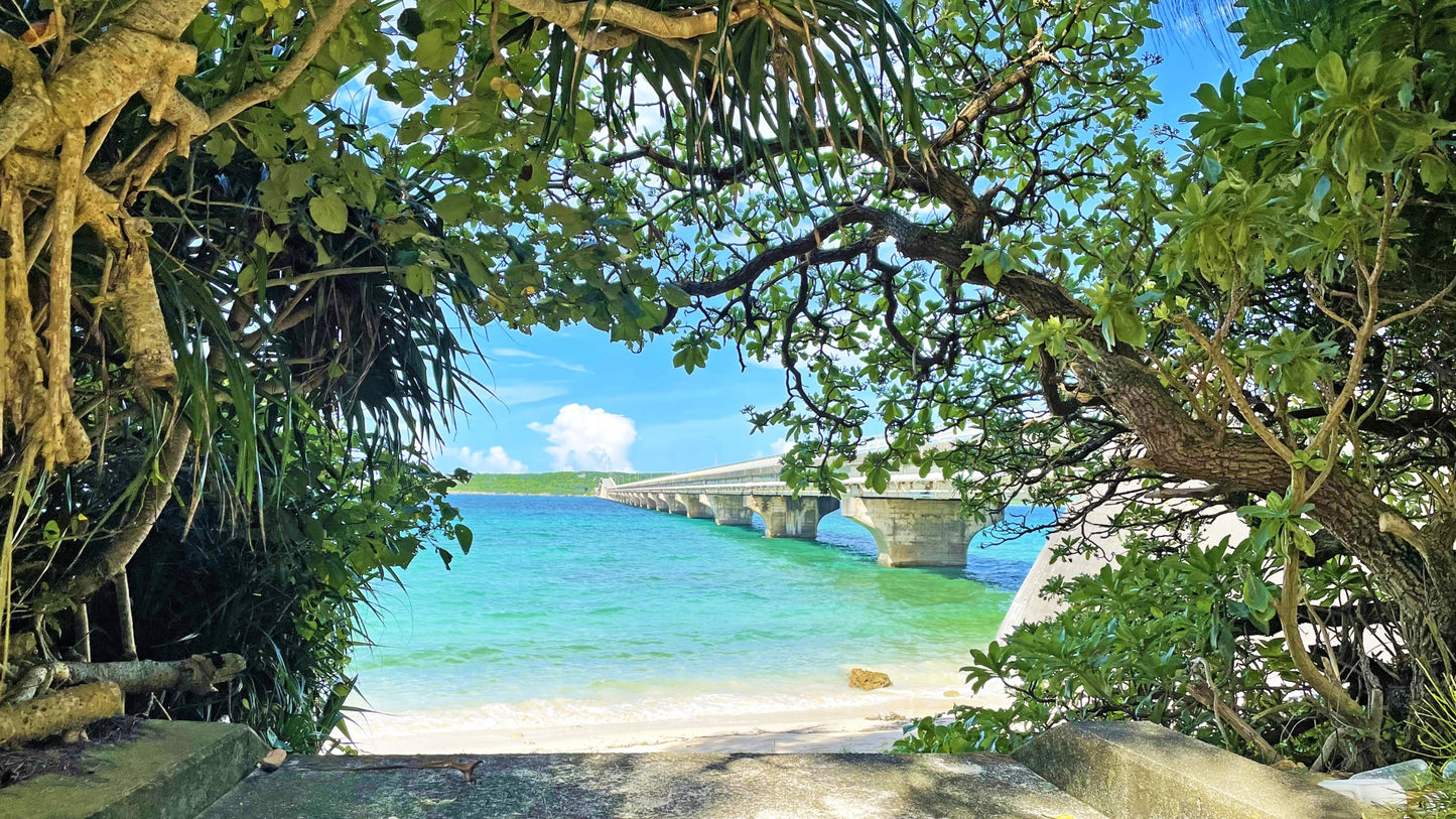 Miyako Island Private Shore Excursion: Bridges, Beaches & Scenic Coastlines