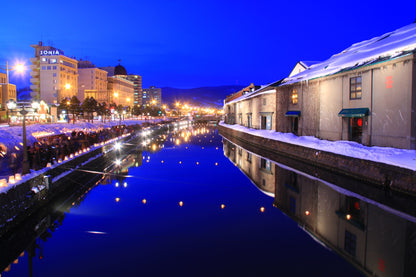 Otaru Private Shore Excursion: Canal, Historic Streets & Scenic Views