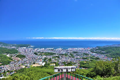 Otaru Private Shore Excursion: Canal, Historic Streets & Scenic Views