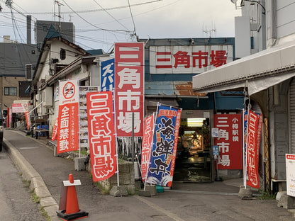 Otaru Private Shore Excursion: Canal, Historic Streets & Scenic Views