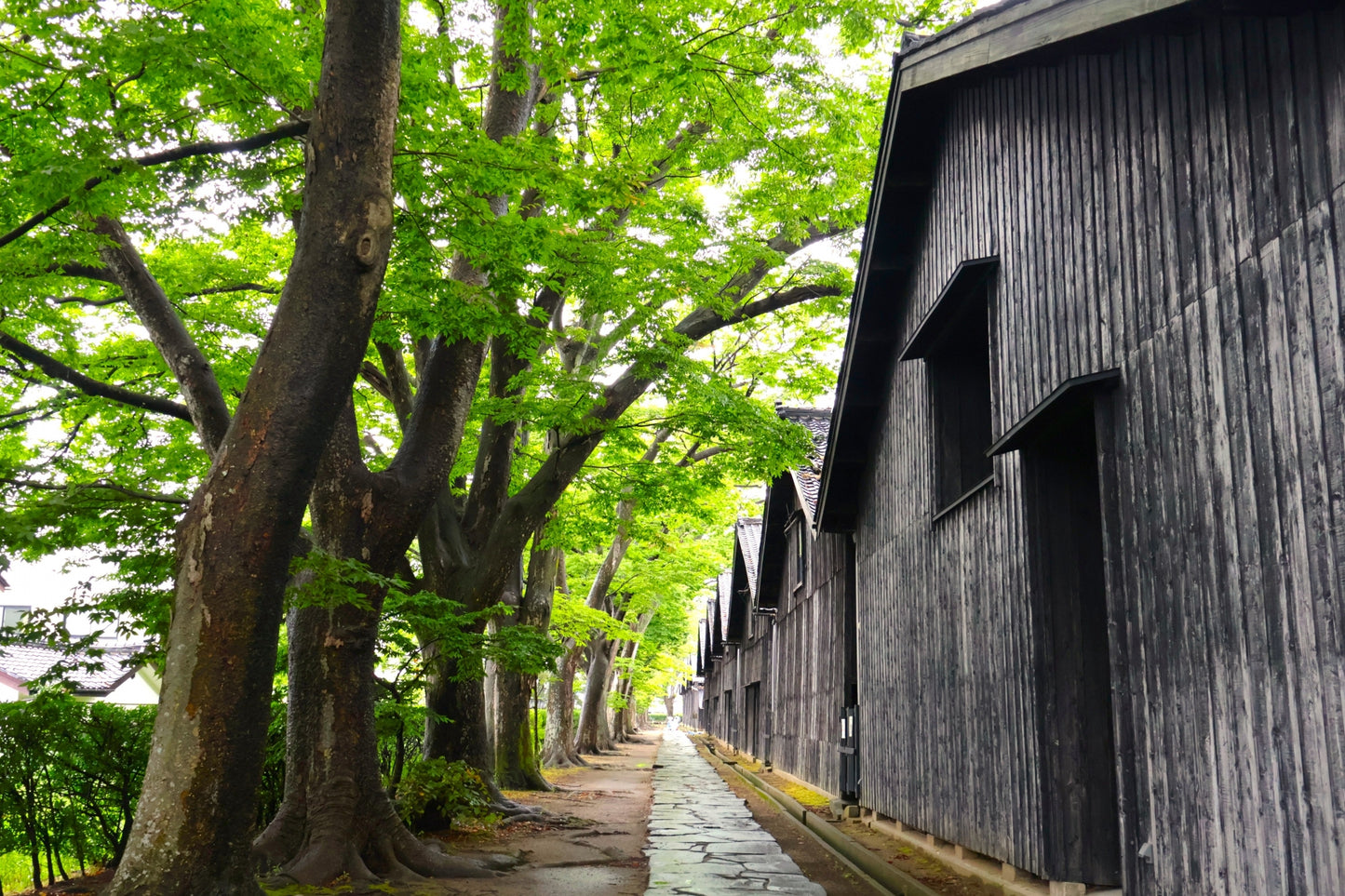 Sakata Private Shore Excursion: Historic Warehouses, Merchant Culture & Local Market