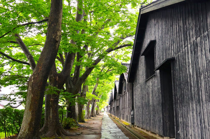 Sakata Private Shore Excursion: Historic Warehouses, Merchant Culture & Local Market