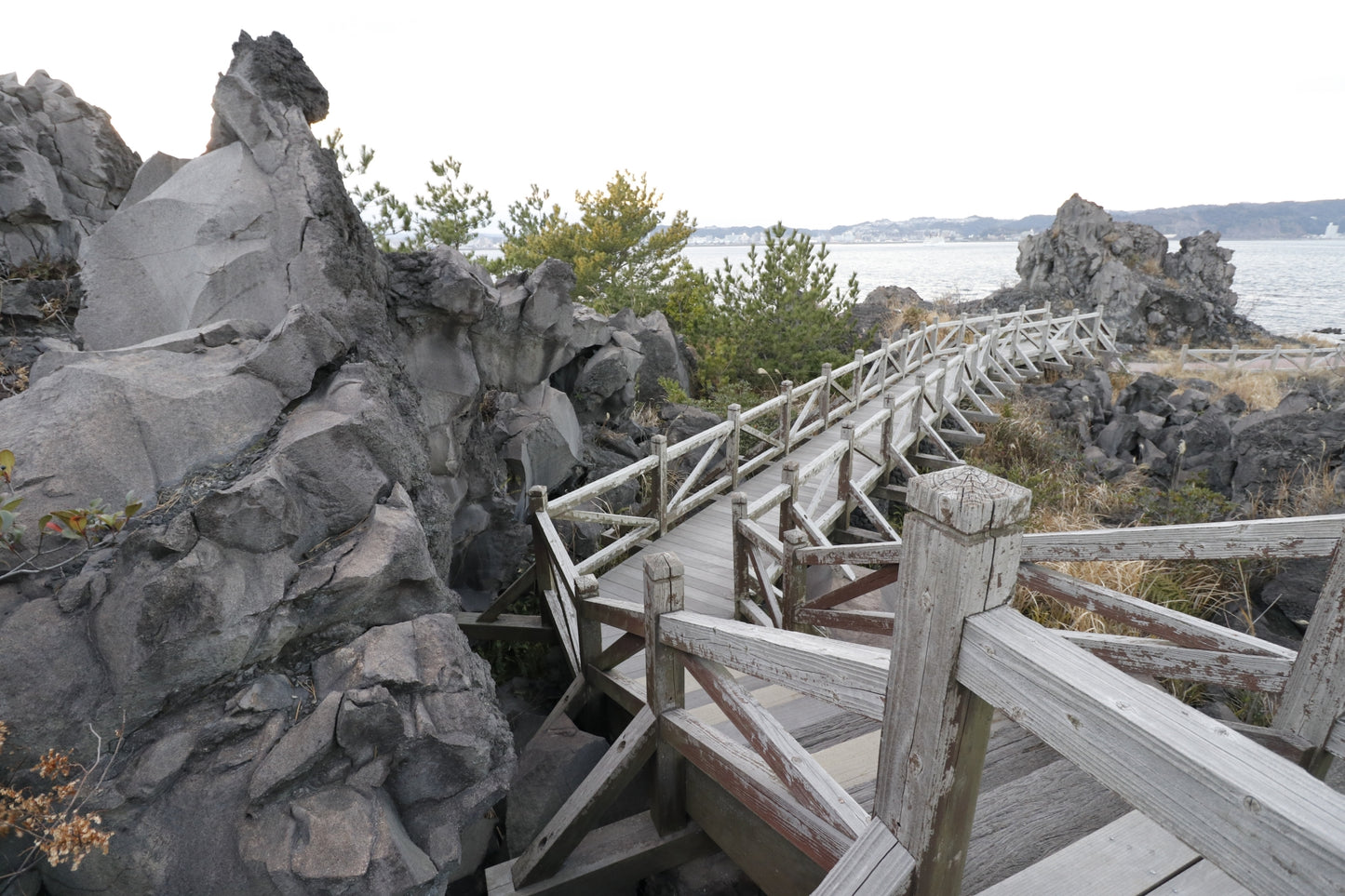 Kagoshima Private Shore Excursion: Sakurajima Volcano & Sengan-en Garden