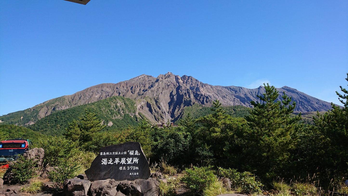 Kagoshima Private Shore Excursion: Sakurajima Volcano & Sengan-en Garden