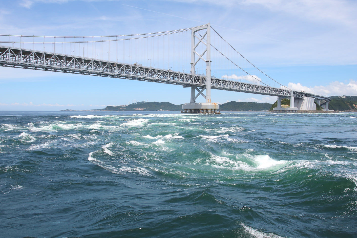 Tokushima Private Shore Excursion: Culture, History & Scenic Views