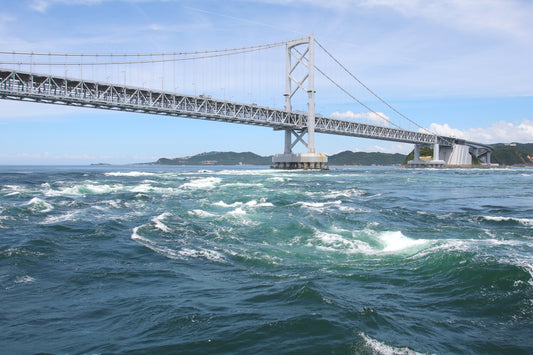 Tokushima Private Shore Excursion: Culture, History & Scenic Views