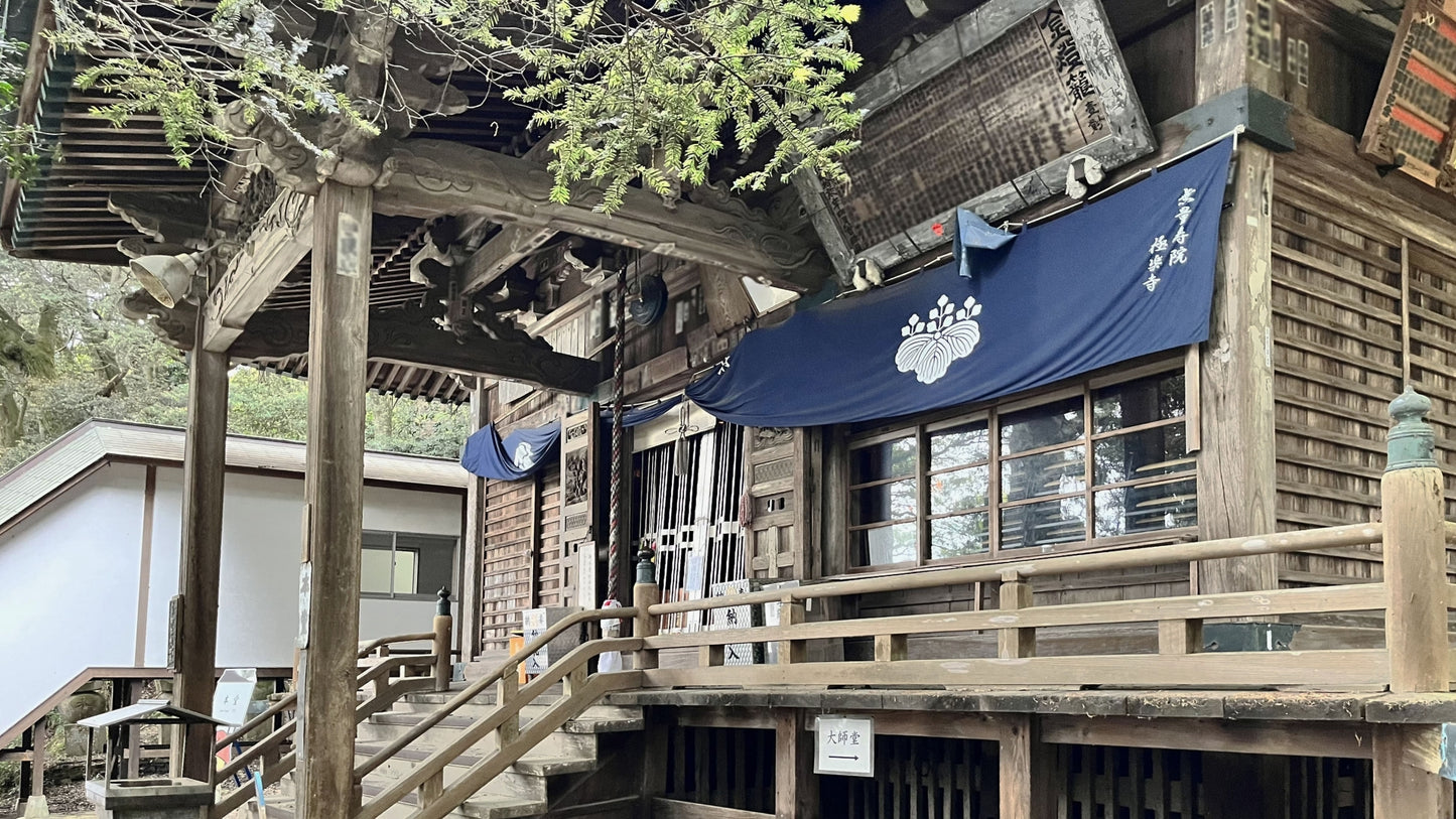 Tokushima Private Shore Excursion: Culture, History & Scenic Views