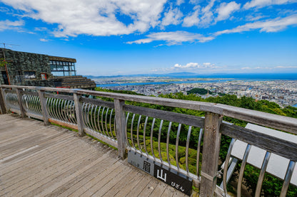 Tokushima Private Shore Excursion: Culture, History & Scenic Views