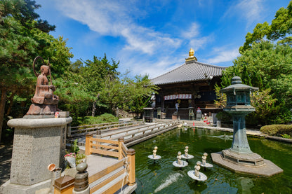 Tokushima Private Shore Excursion: Culture, History & Scenic Views