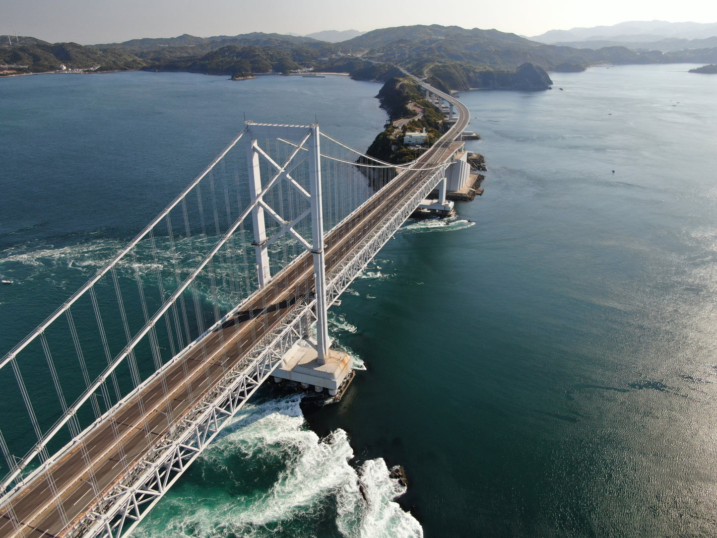 Tokushima Private Shore Excursion: Culture, History & Scenic Views