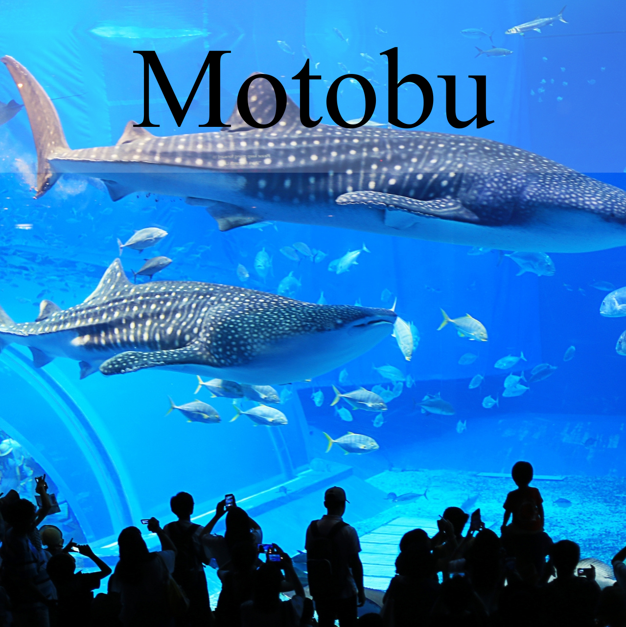 Motobu Private Shore Excursion: Scenic Coastlines, Cultural Heritage & Island Highlights