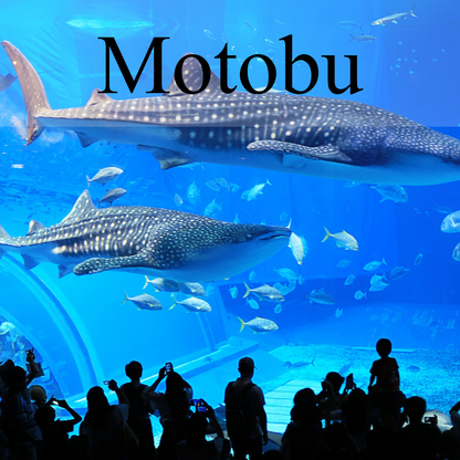 Motobu Private Shore Excursion: Scenic Coastlines, Cultural Heritage & Island Highlights