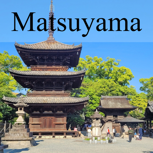 Matsuyama Private Shore Excursion: Castle & Temple Highlights
