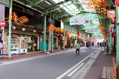 Sakaiminato Custom Private Shore Excursion: Samurai Heritage, Natural Wonders & Local Folklore
