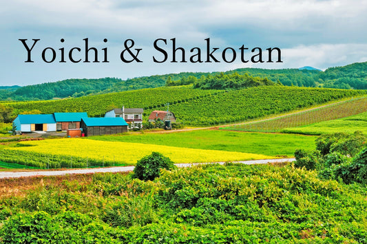 Yoichi & Shakotan Tour: Discover Hokkaido's Coastal Beauty