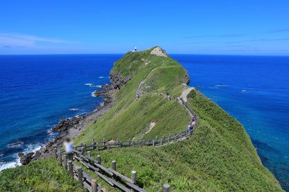 Yoichi & Shakotan Tour: Discover Hokkaido's Coastal Beauty