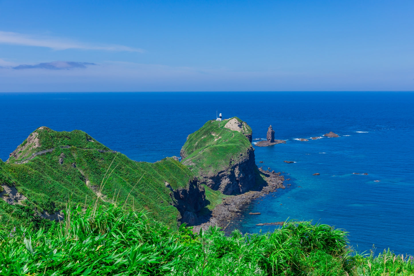 Yoichi & Shakotan Tour: Discover Hokkaido's Coastal Beauty