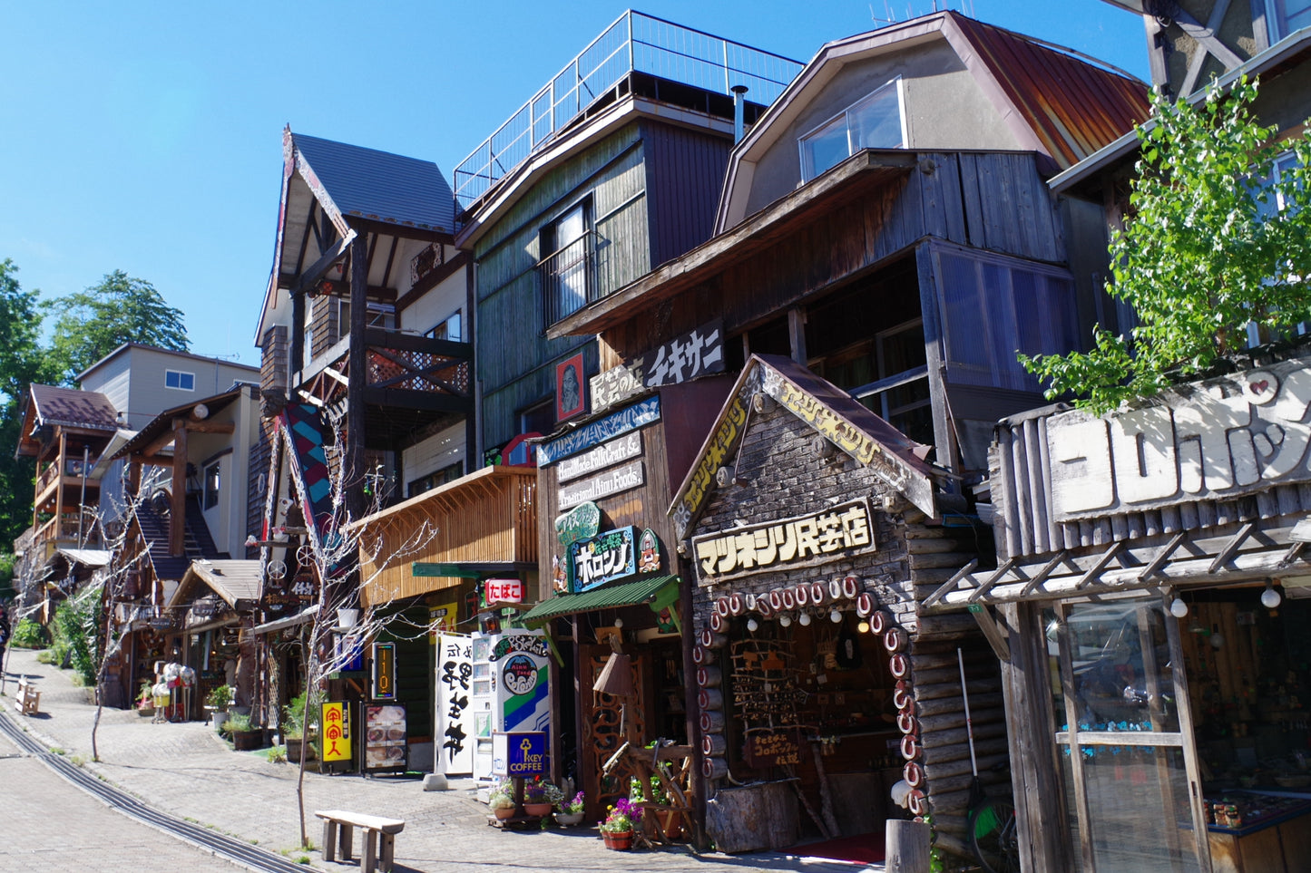 Explore Kushiro's Nature and Ainu Culture: A 6-Hour Shore Excursion in Hokkaido