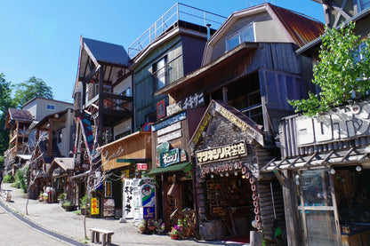 Explore Kushiro's Nature and Ainu Culture: A 6-Hour Shore Excursion in Hokkaido