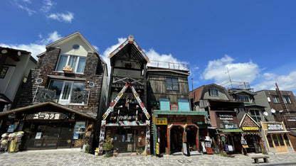 Explore Kushiro's Nature and Ainu Culture: A 6-Hour Shore Excursion in Hokkaido