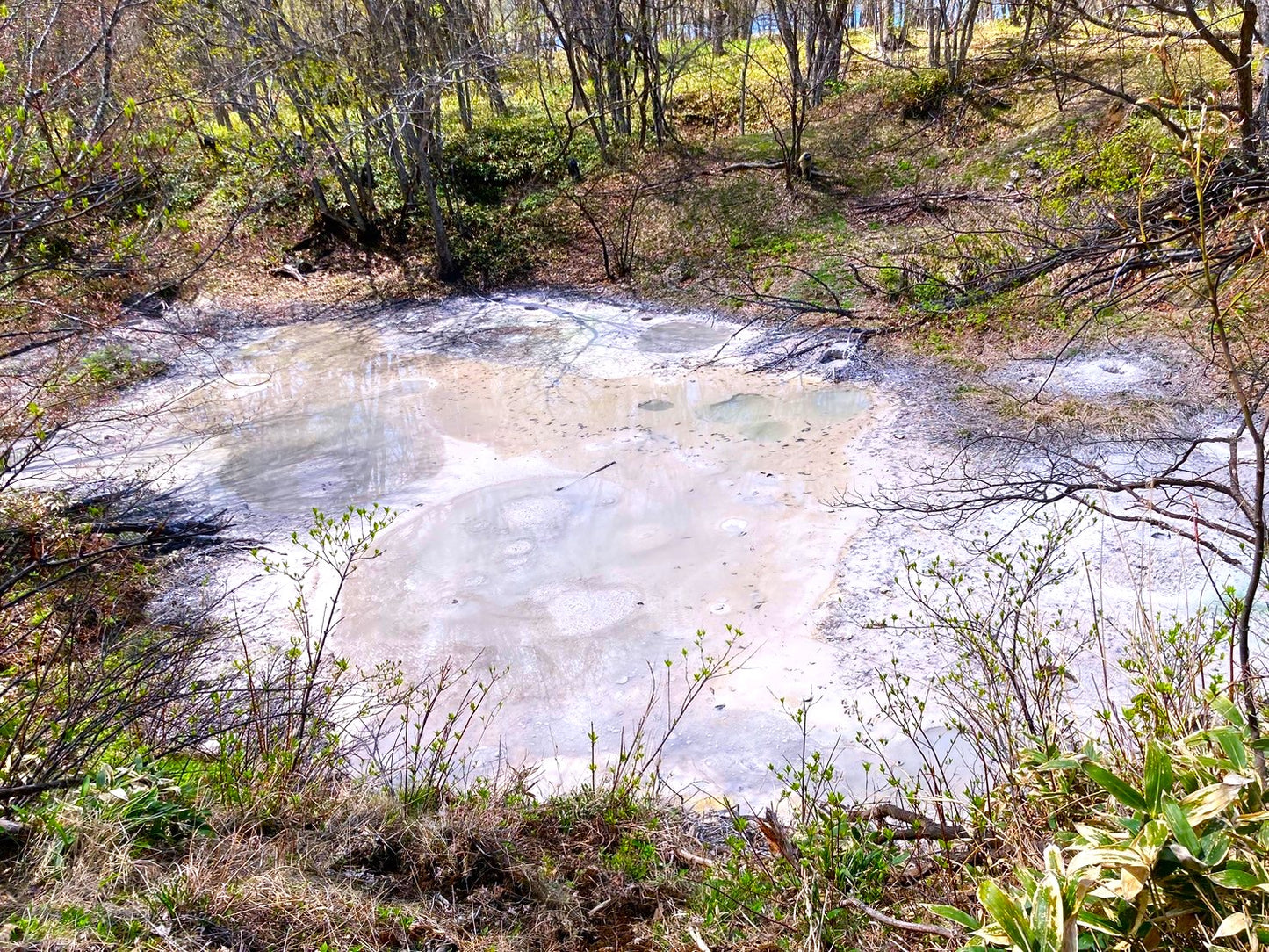 Explore Kushiro's Nature and Ainu Culture: A 6-Hour Shore Excursion in Hokkaido