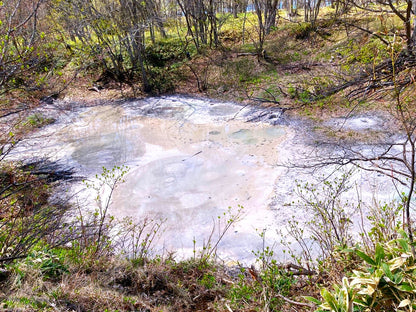 Explore Kushiro's Nature and Ainu Culture: A 6-Hour Shore Excursion in Hokkaido