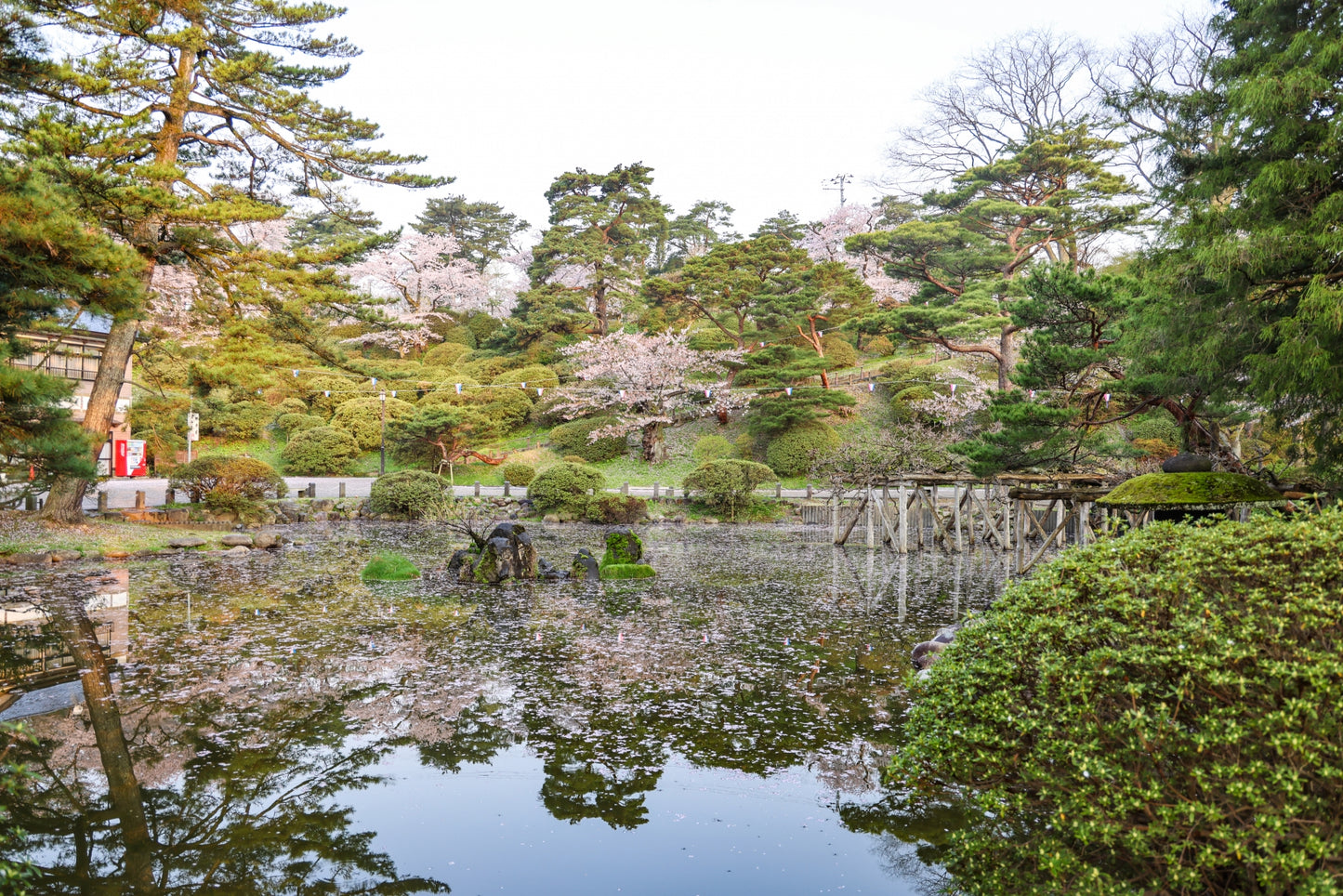 Akita Custom Private Shore Excursion: Traditional Festivals, Ancient Ruins & Coastal Vistas