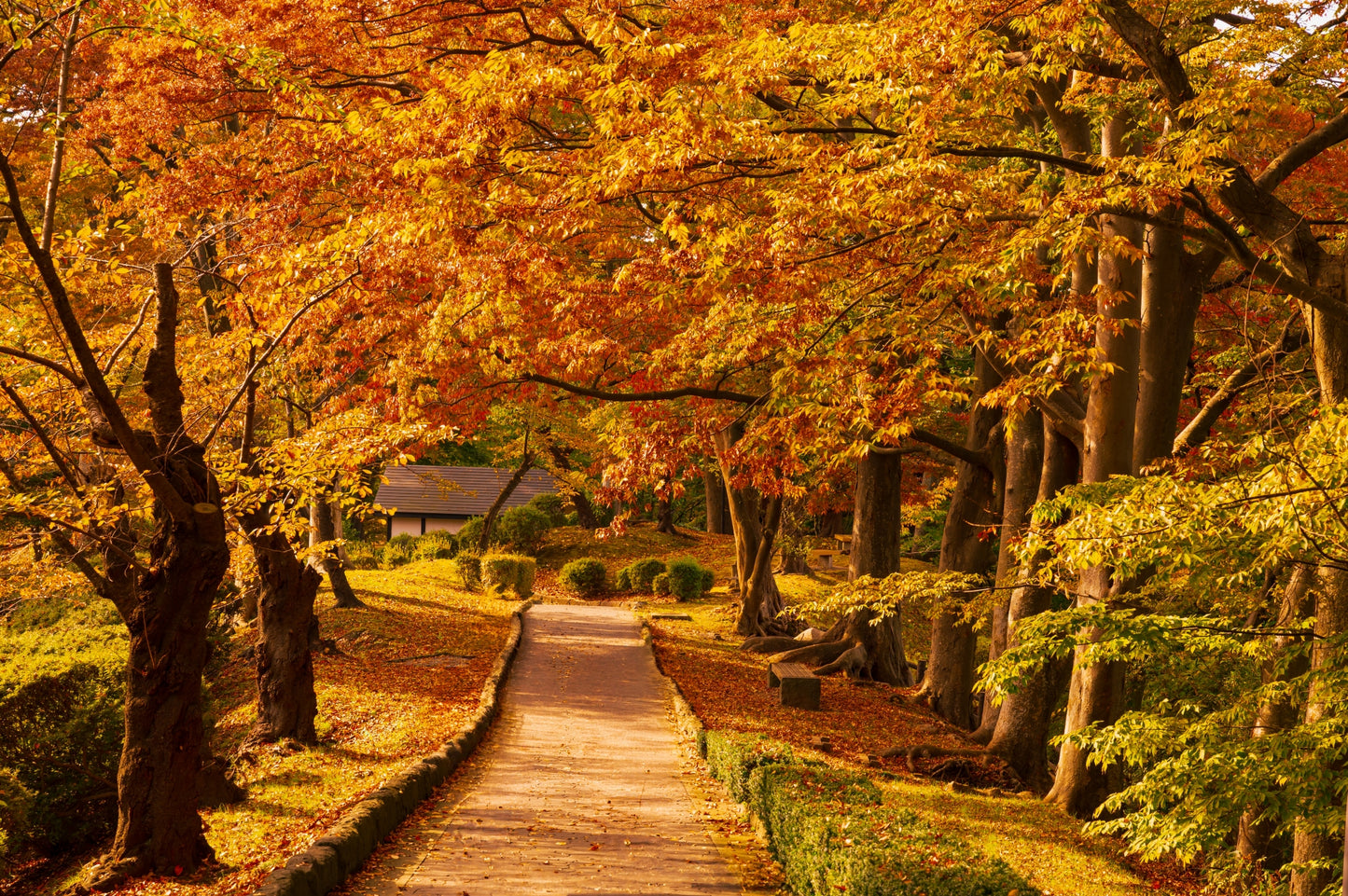 Akita Custom Private Shore Excursion: Traditional Festivals, Ancient Ruins & Coastal Vistas