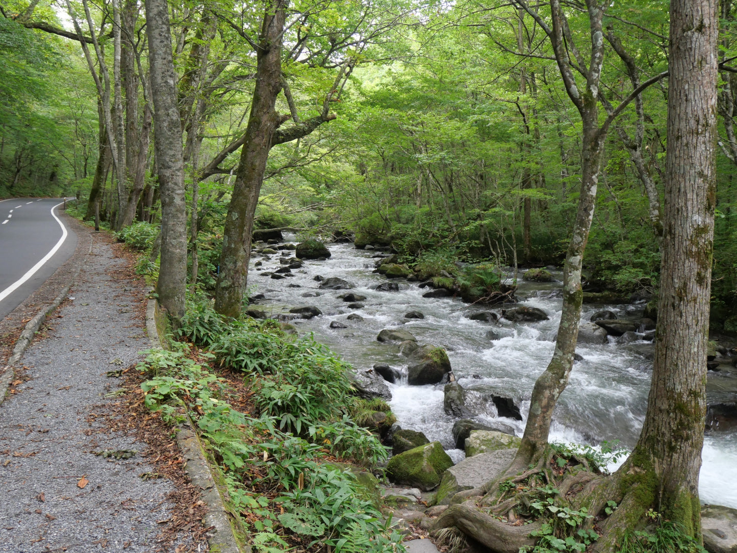 The Crystal River Gorge & Volcanic Lake Private Shore Excursion from Aomori Port：7-Hour