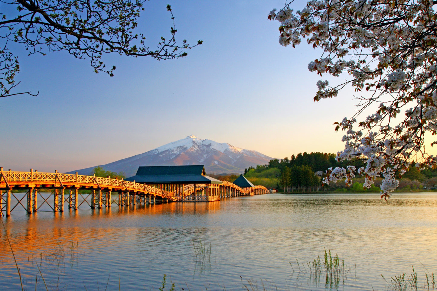 Thousand Red Gates & The Longest Wooden Bridge Private Shore Excursion from Aomori Port：7-Hour