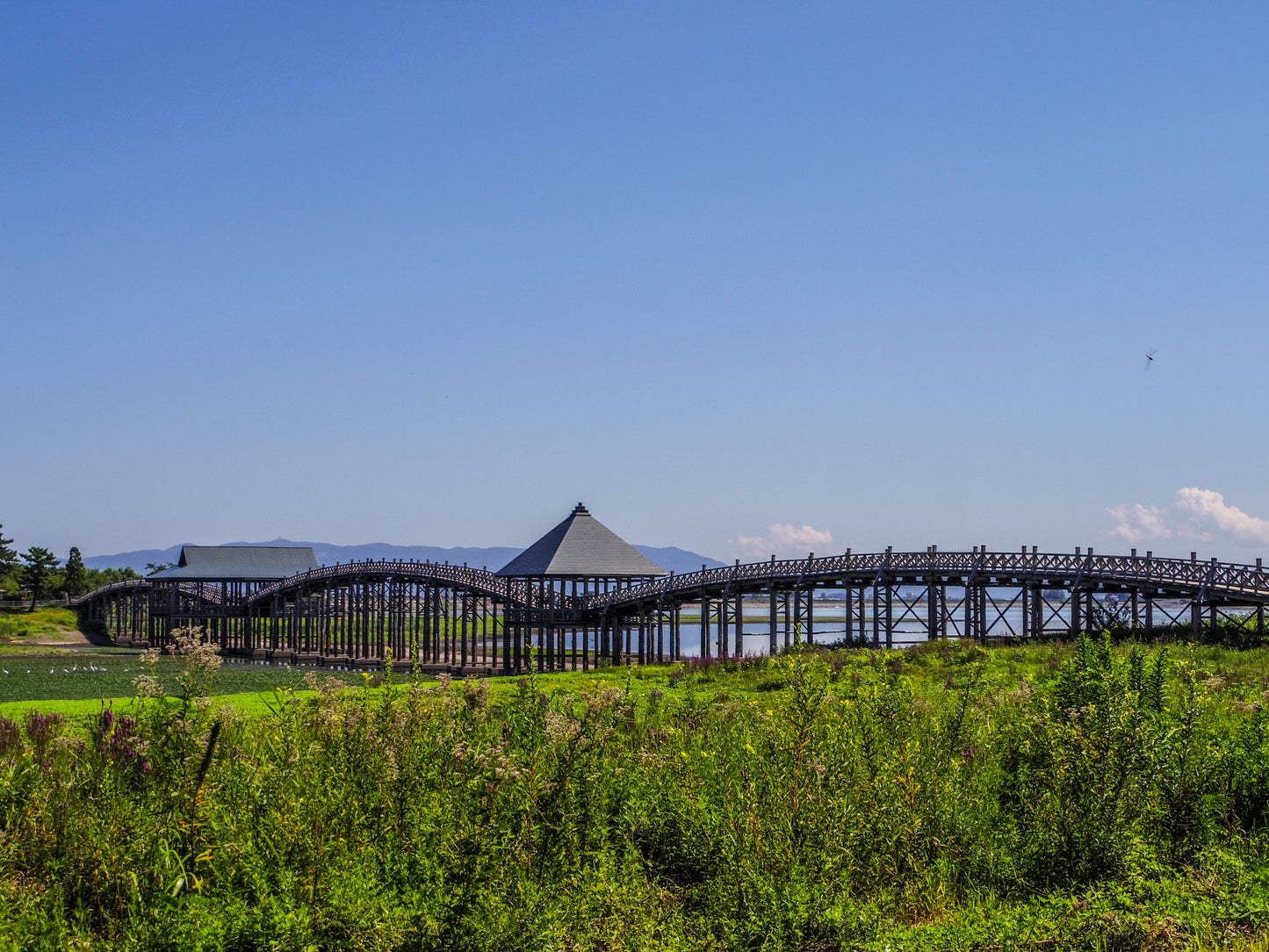 Thousand Red Gates & The Longest Wooden Bridge Private Shore Excursion from Aomori Port：7-Hour