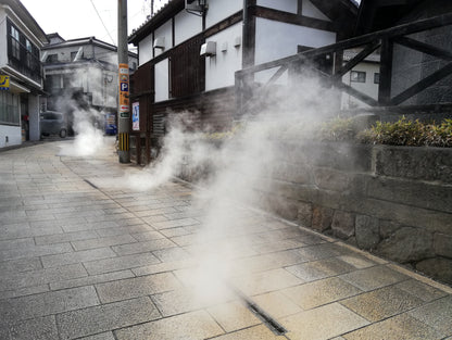 Beppu Oita Private Shore Excursion: Nature, Hot Springs & Scenic Views