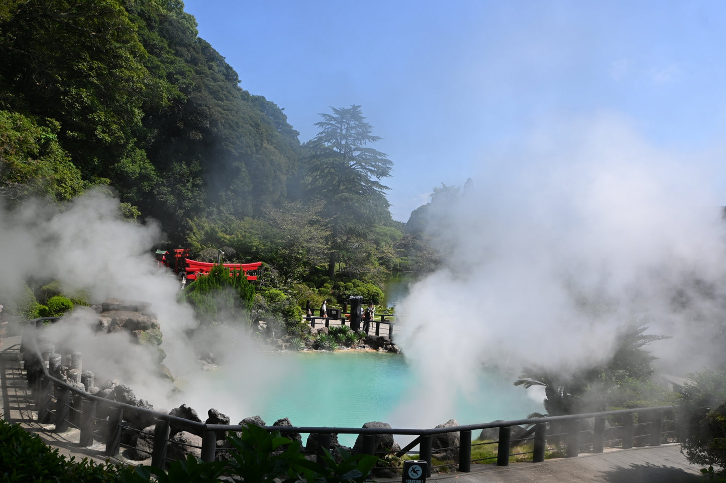 Beppu Oita Private Shore Excursion: Nature, Hot Springs & Scenic Views