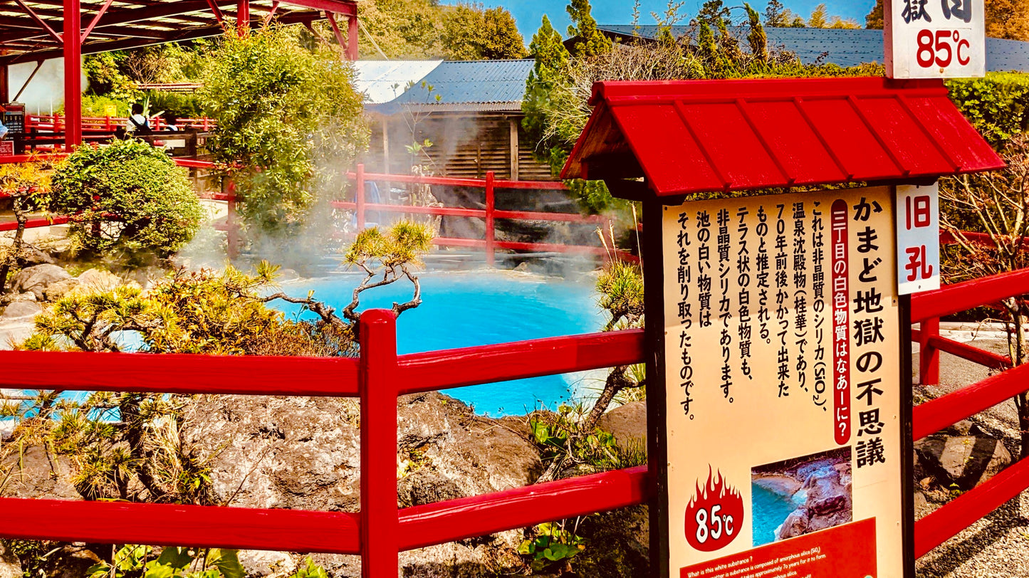 Beppu Oita Private Shore Excursion: Nature, Hot Springs & Scenic Views