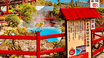 Beppu Oita Private Shore Excursion: Nature, Hot Springs & Scenic Views