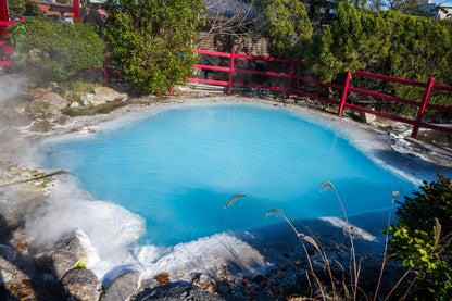 Beppu Shore Excursion (4h): Hells natural hot springs, Steam & Sky Views