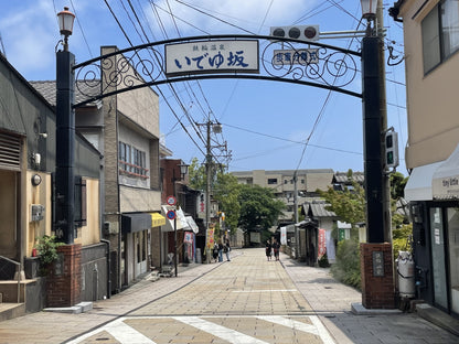 Beppu Shore Excursion (4h): Hells natural hot springs, Steam & Sky Views